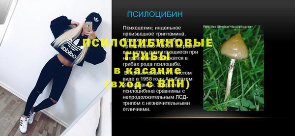 мяу мяу кристалл Ельня